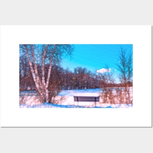 Winter landscape tree Posters and Art